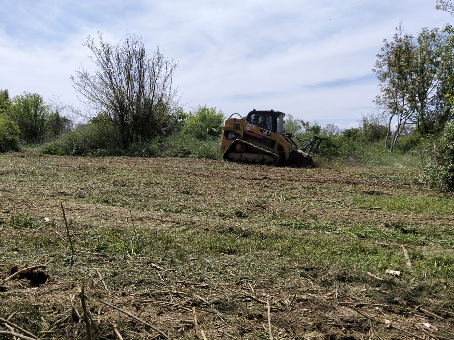 Defisare curatare Teren Utilaje Excavator