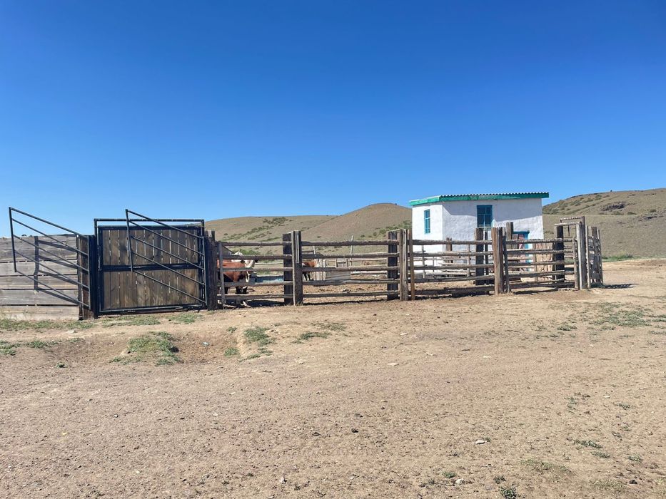 Крестьянское хозяйство