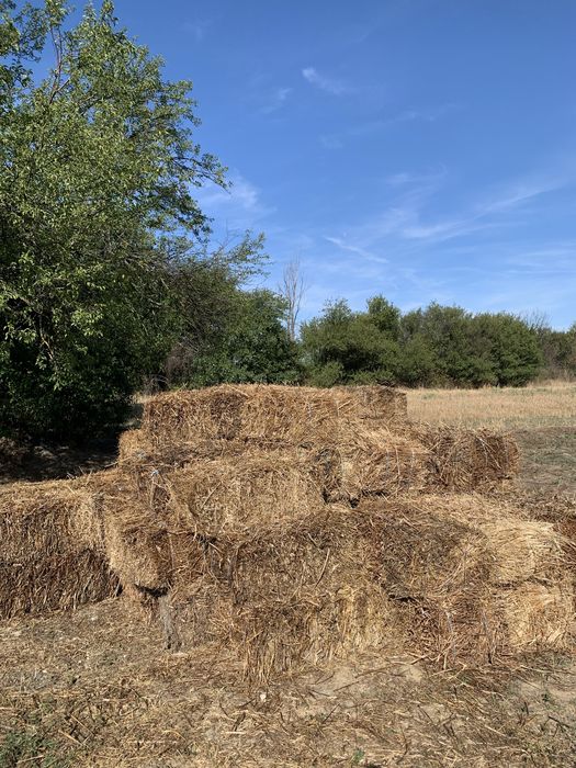 Baloti din fan si buruian uscat