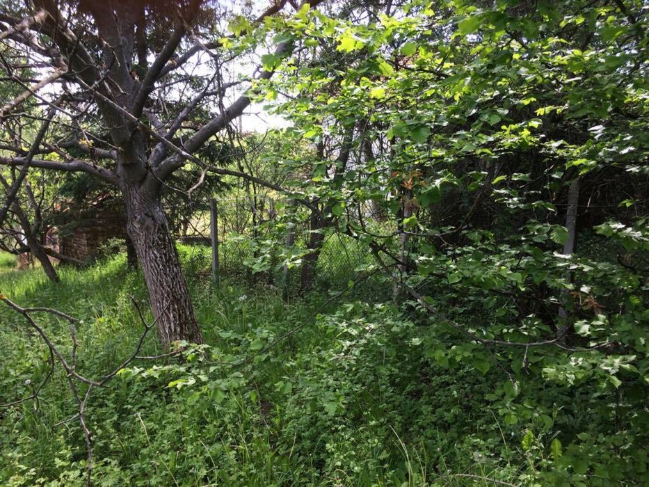 Продава се Къща в с. Чибаовци, Област София-област - 172 кв.м за 151 €/кв.м - Снимка #6