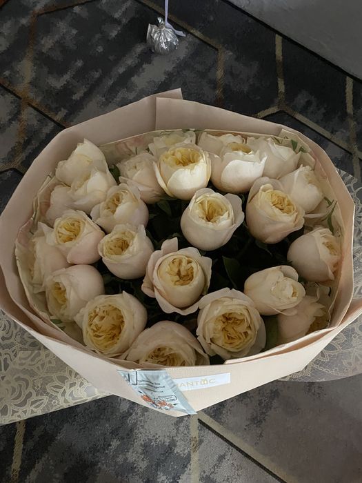 25 шт розы 8 к свежие