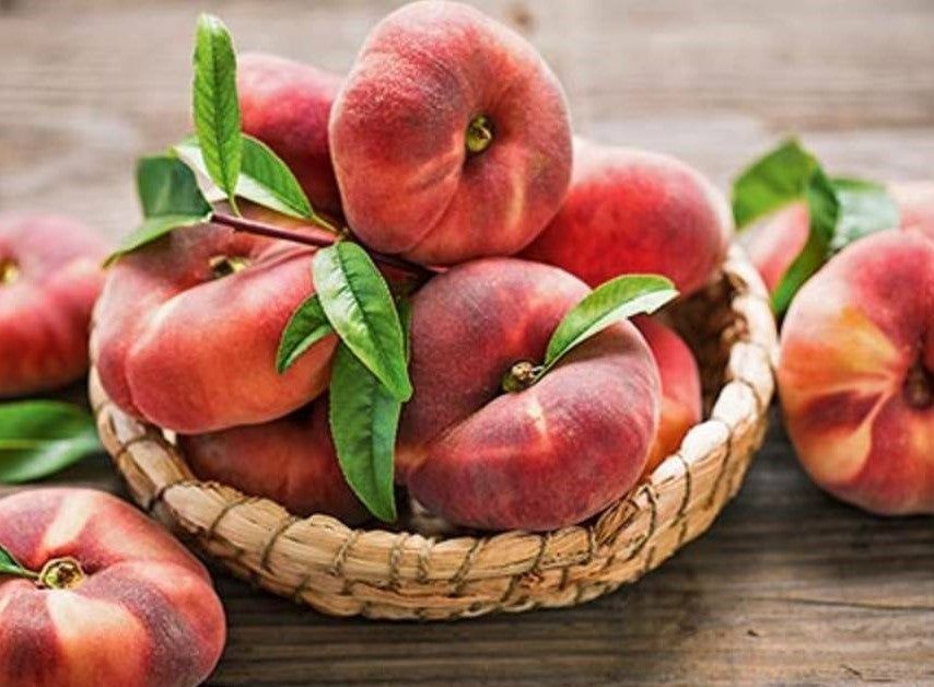 Pomi Fructiferi  deosebiti  nectarin sanguine d Auvergne"