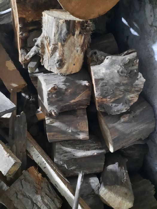 Дрова сухие тополь