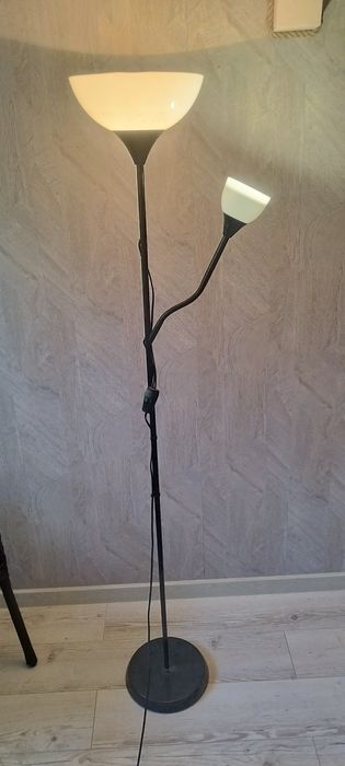 Таршер, придеванный светильник