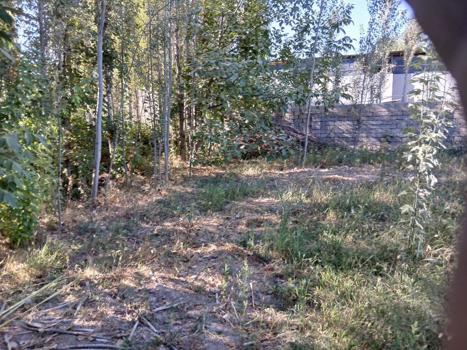 Uchastka sotiladi xamma sharoitlari bor oladigan kelishtirib beramiza