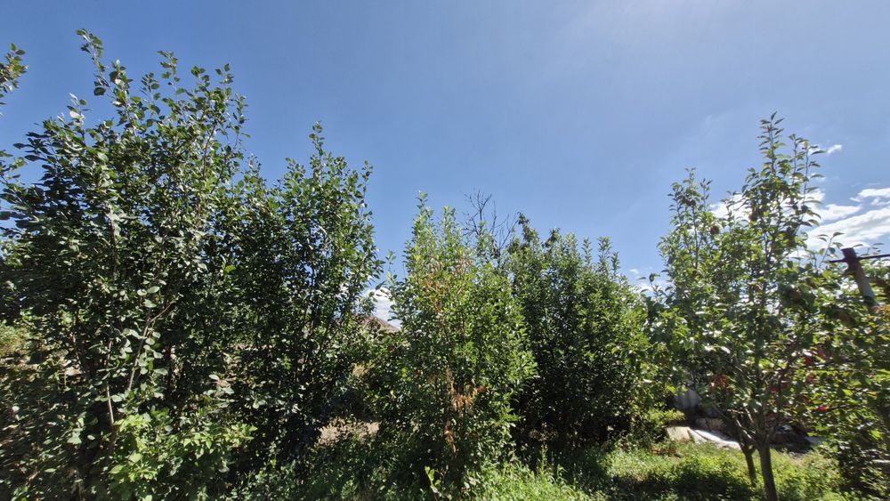 Продается дом.     .