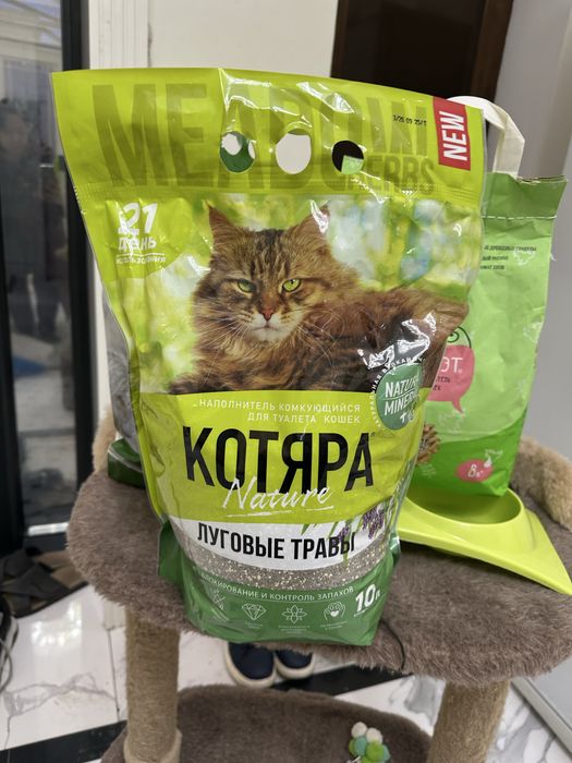 Домик для кошки.  Ногтеточка