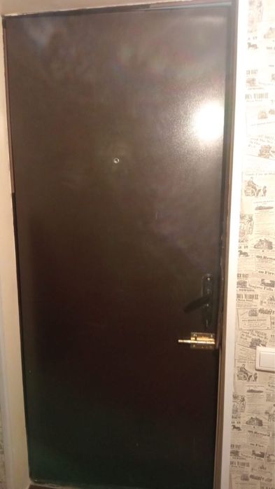 Металлическая дверь