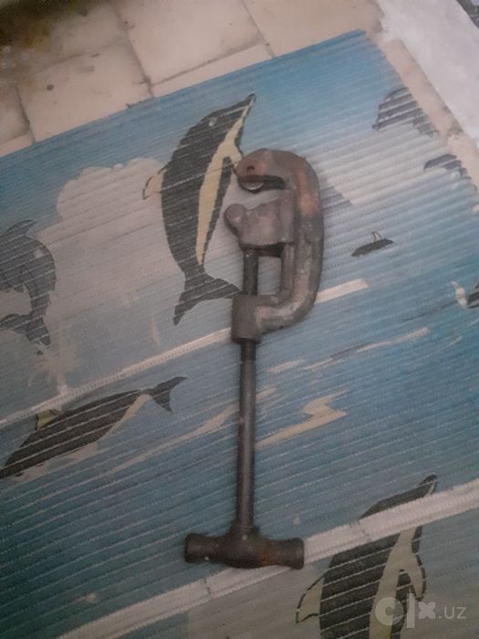 Kuluch sotiladi holati yaxshi