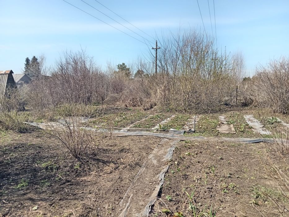 Продам дачу в с/о Кленок 2 недорого