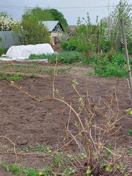 Продам дачу 1 общество