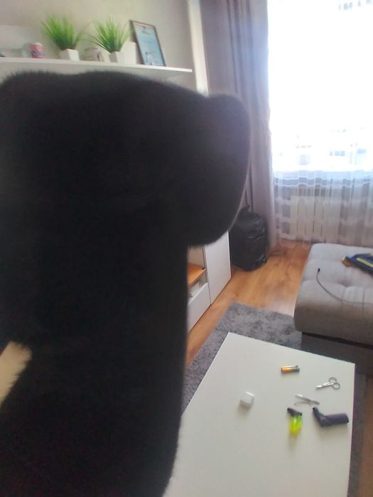 Продам шапку норковую