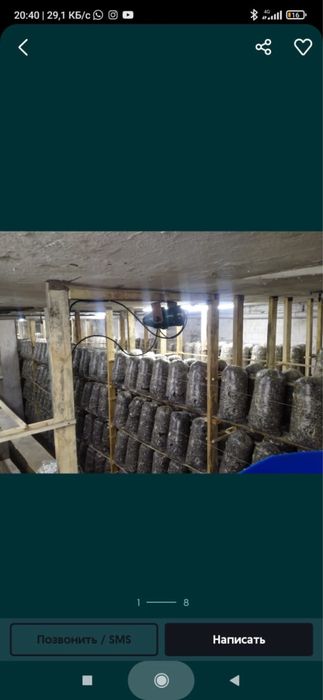 Продам территорию , бизнес грибной
