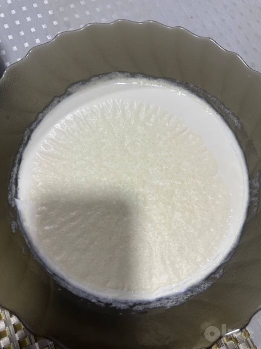 Продаеться козье молоко
