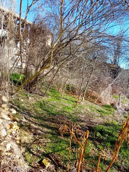 Продава се Къща в с. Съединение, Област Търговище - 80 кв.м за 192 €/кв.м - Снимка #10