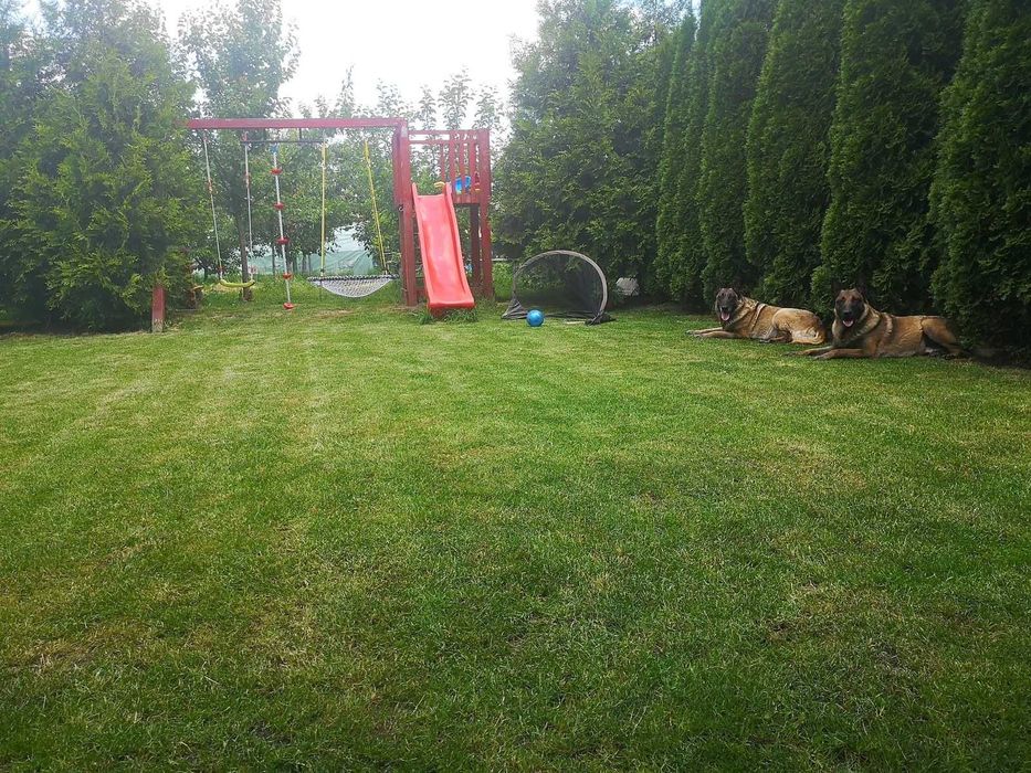 Casă la cheie,  mobilată complet, 163 mp, 600 mp teren, Peris (Mures)