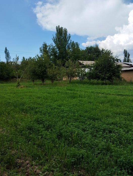 Bostonliq tumanida yer sotiladi