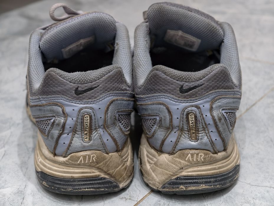 Nike Air Pegasus 2005