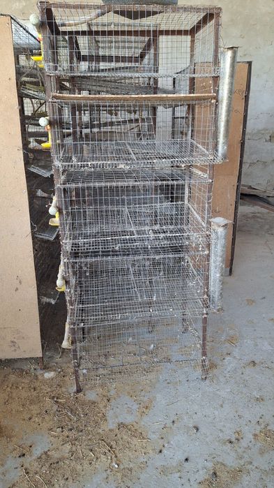 Бөдене клетка сетка