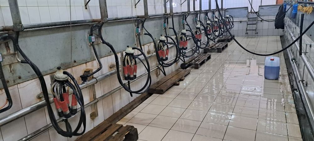 Продается молочно товарная ферма