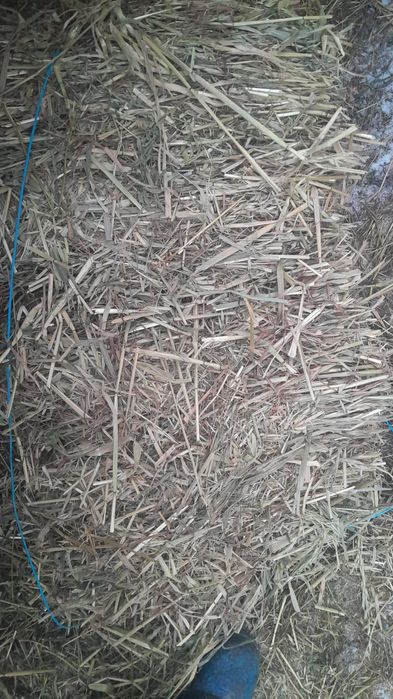 Baloti ovaz fara lucerna