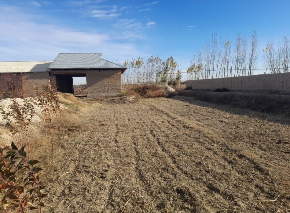 Uy sotiladi 12.4 sotix paxtachi tumani bek tuyxonasi orqasidagi ko'cha