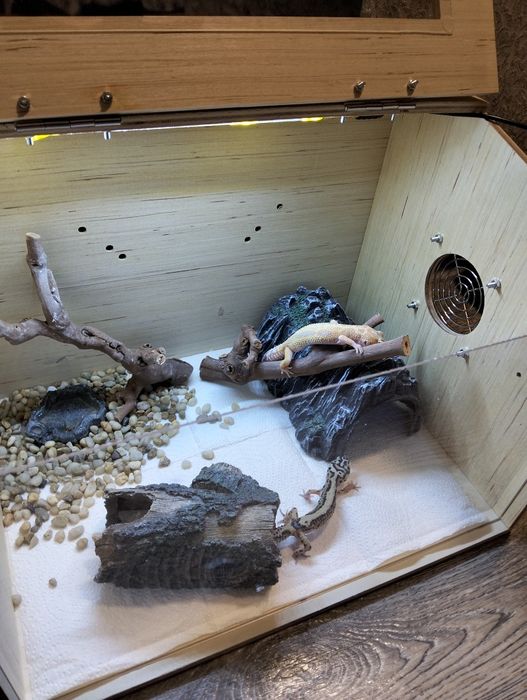 Террариум для рептилий