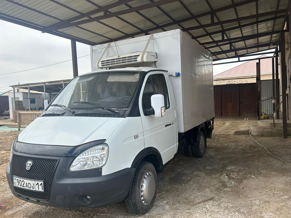 Газел маразелник