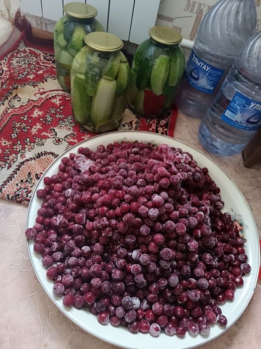 Продам дачу на ПК Автообъединение