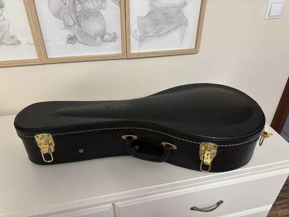 Cutie mandolina,husa ,mandolina