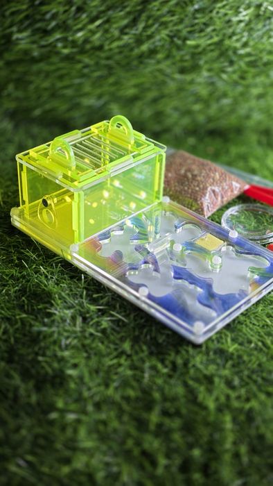 Муравьиная ферма! АЛМАТЫ