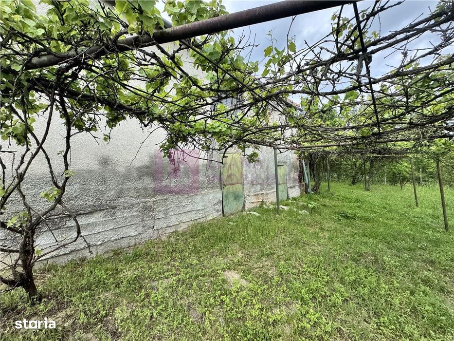 Casa individuala de vanzare in Nucet | Rosia | teren 1526 mp | livada,