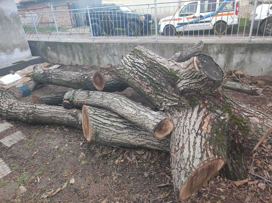 Дървен материал от орех на трупи