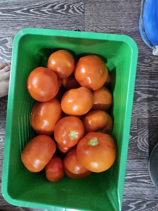 Продам баклажины и помидоры