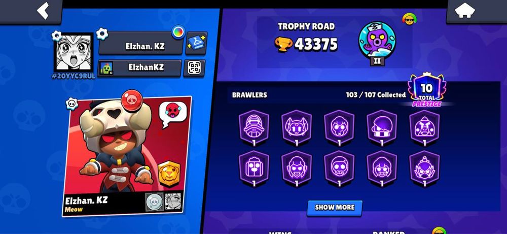 Аккаунт Brawl Stars с 2019 года