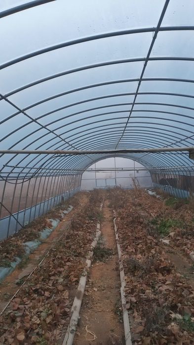 теплица продам  срочно  срочно 700000