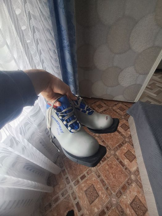 Продаю лыжи не дорого