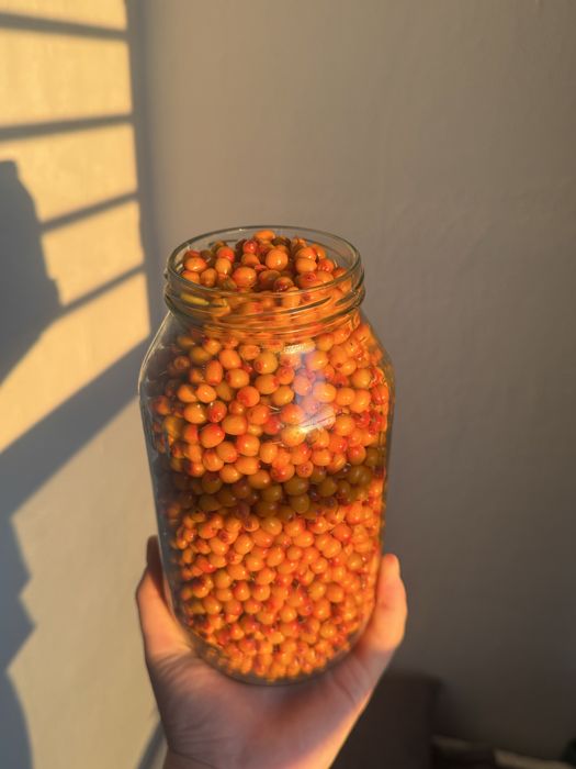 Продам облепиху.