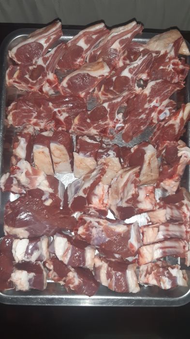 Qassob xizmati Qassob service Кассоб хизмати .