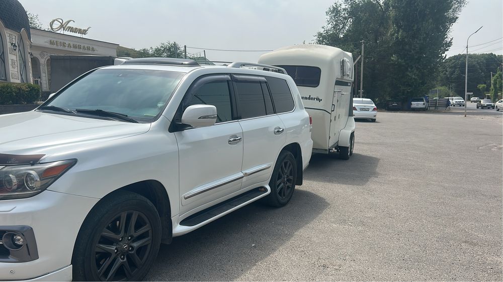 Перевозка лошадей