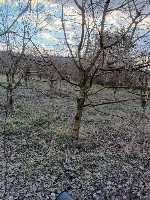 Продава се Парцел в Ловеч, в.з. Бабаковец - 1000 кв.м за 12 €/кв.м - Снимка #5