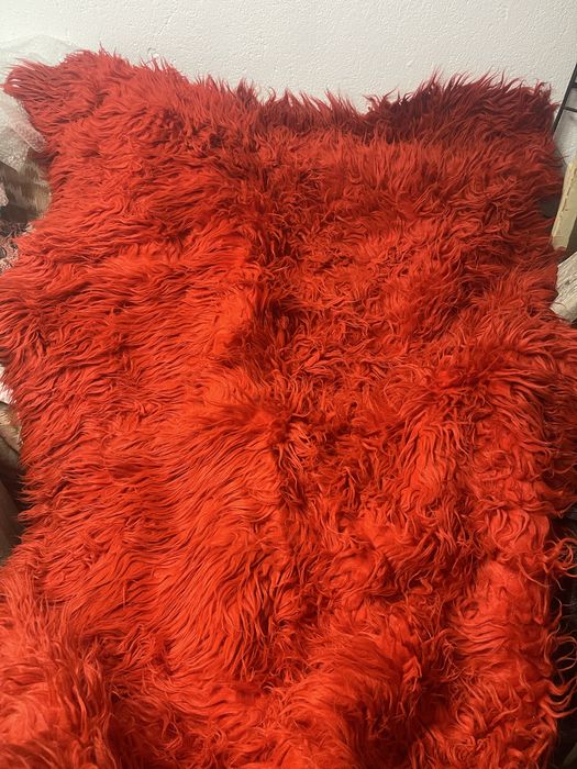 Родопски китеник