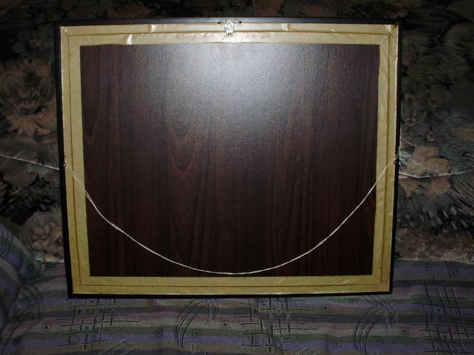 Картина 60×50.  Под стеклом. Из перьев.