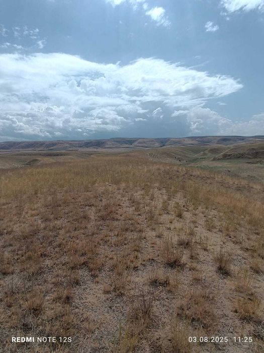 Крестьянское хозяйство