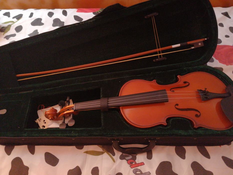 Vioara parrot pu 4/4