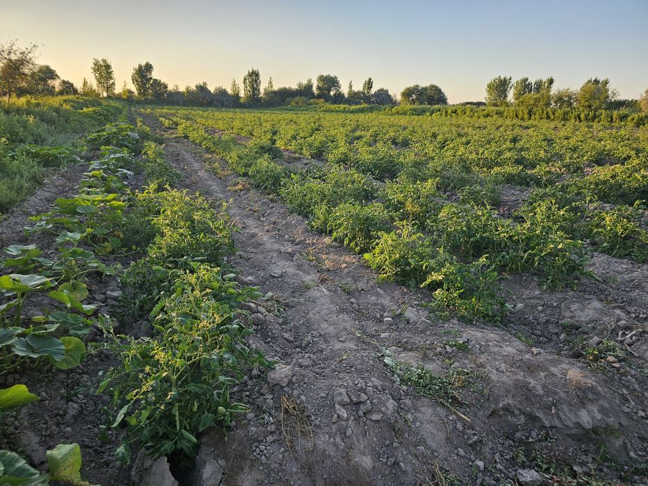 Продаётся  бизнес