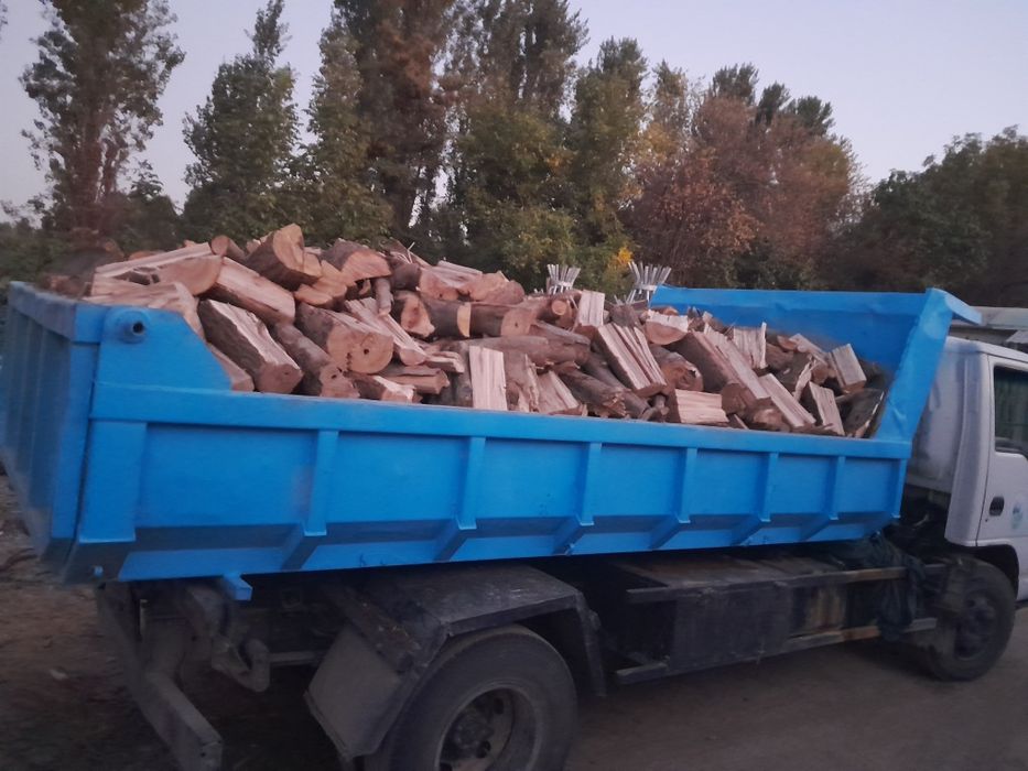 Утин сотилади  мевали