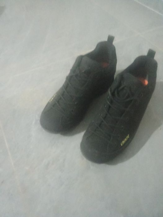 Красовка Криспи новый