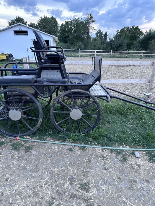 Trasura maraton pentru 1 sau 2 cai