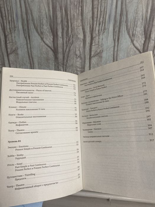 Самоучитель английского языка